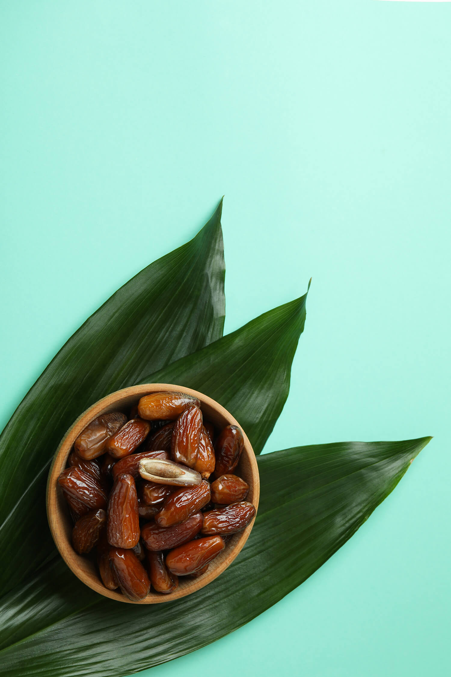 bowl-of-dried-dates-and-leaves-on-mint-background-72QXKYX