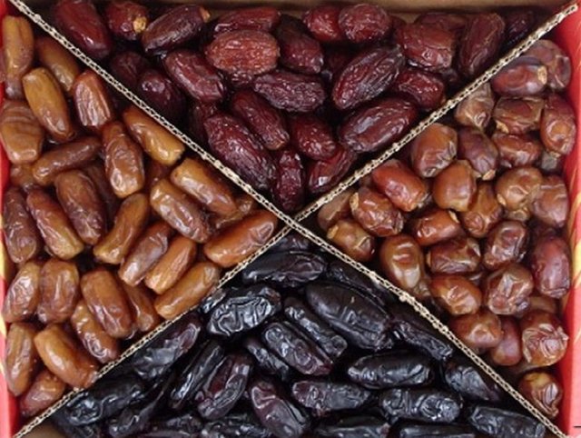 pemborong kurma